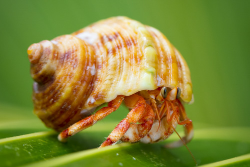 cocos keeling island photo tour example 18